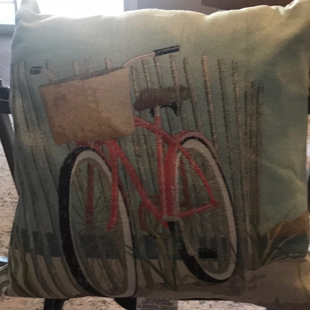 Throw pillows set of two